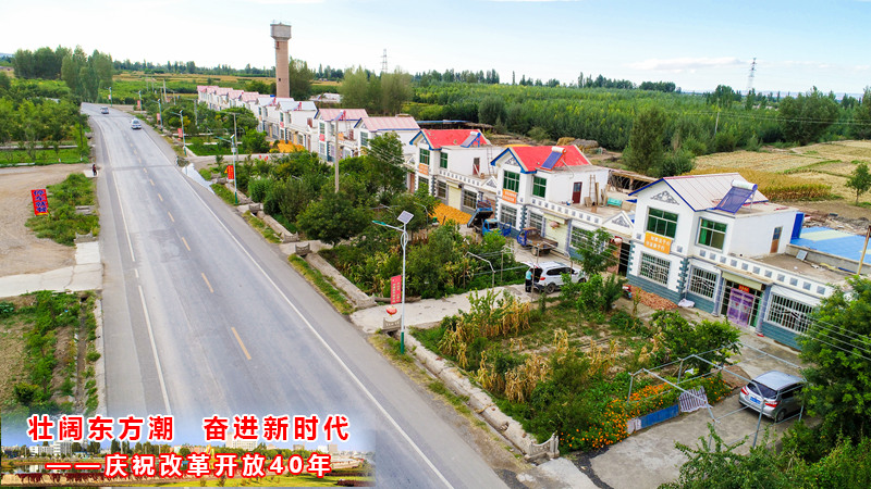 临泽镇gdp_新时代文明实践丨高邮 文明做底色 幸福一座城(2)