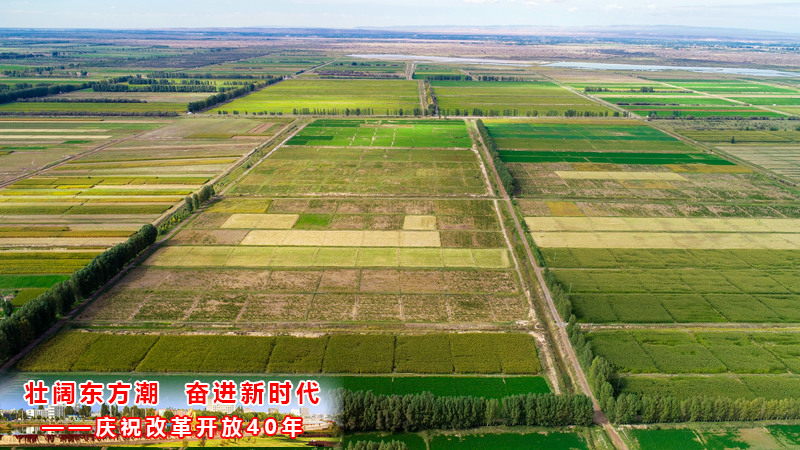 临泽县人口_临泽县宋钧昌照片(2)