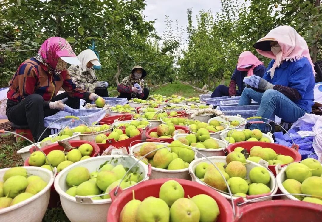张掖市林业和草原局(图2)