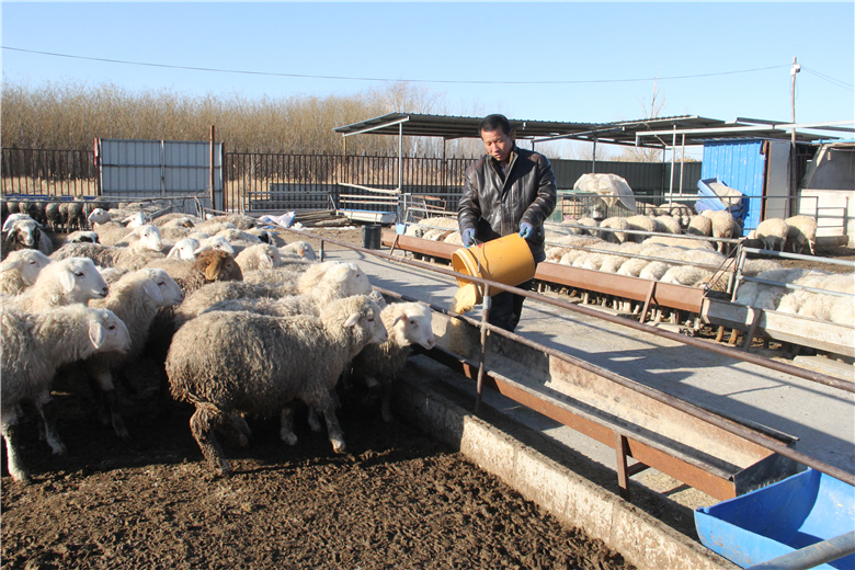 易游娱乐城- YY易游体育官方网站- 易游体育APP养殖贷款怎么申请docx