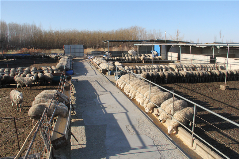 海水养殖“五次浪潮”引领蓝华体会- 华体会体育官网- 华体会体育APP下载色技术革命