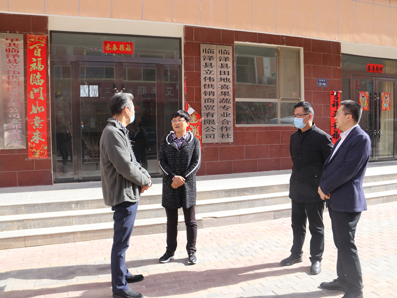 临泽县供销社县委常委县纪委书记监委主任谢青春调研县供销社系统专项