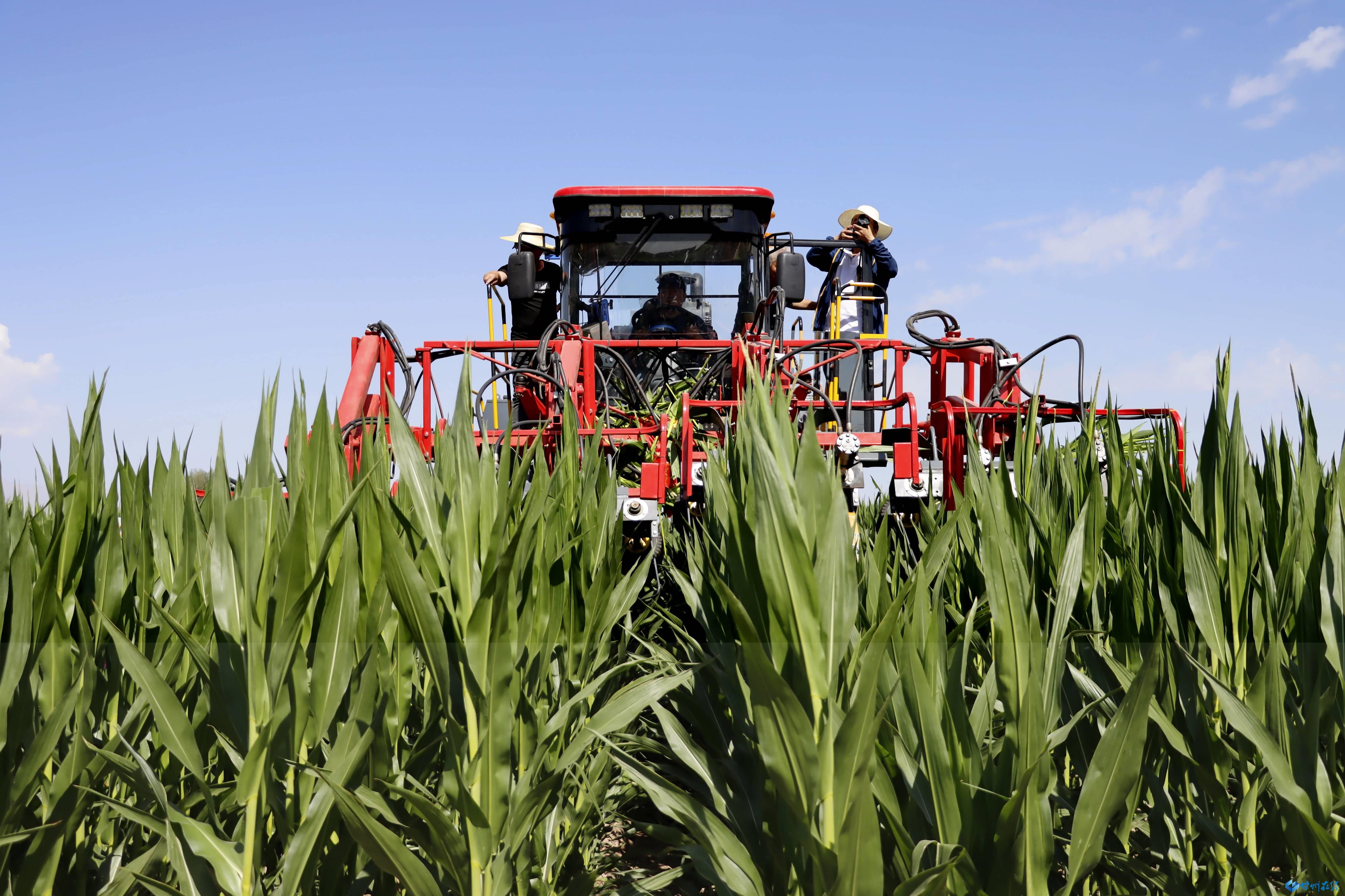 甘州区举行玉米制种机械化去雄作业现场演示会