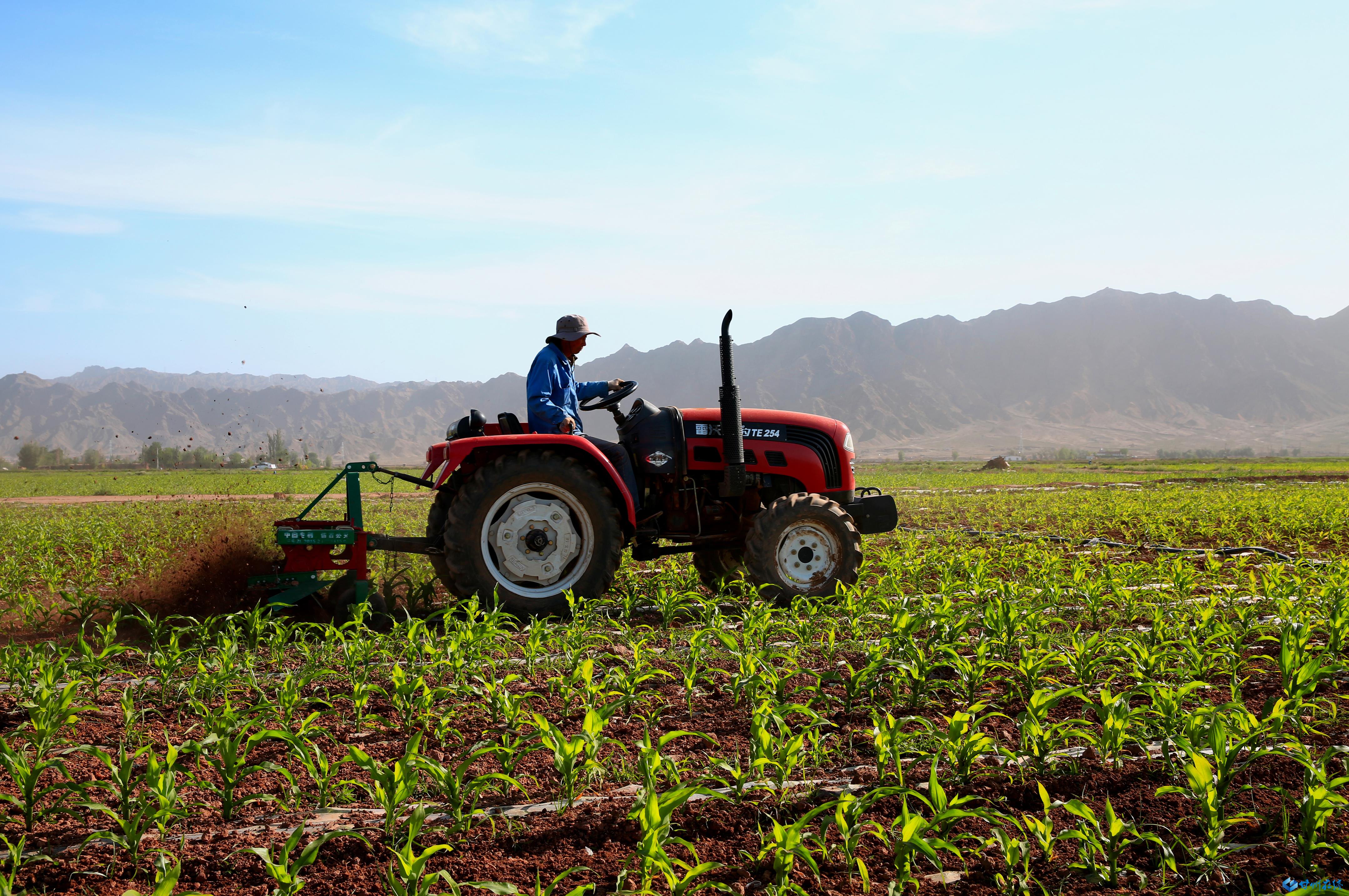 张掖甘州:高标准农田机械作业忙