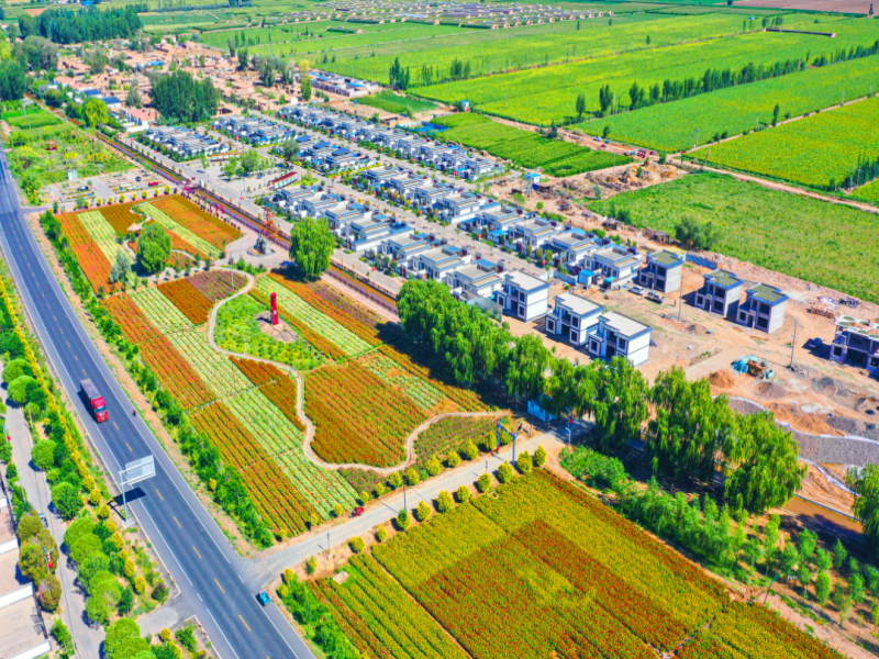 乡村行看振兴高台拆旧建新为美丽乡村添颜值