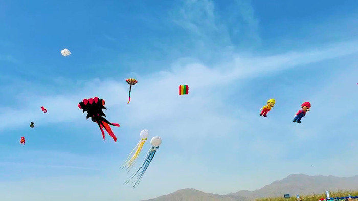 张掖市体育局-春天里的约会:甘肃省风筝交流大赛在临泽县隆重举行