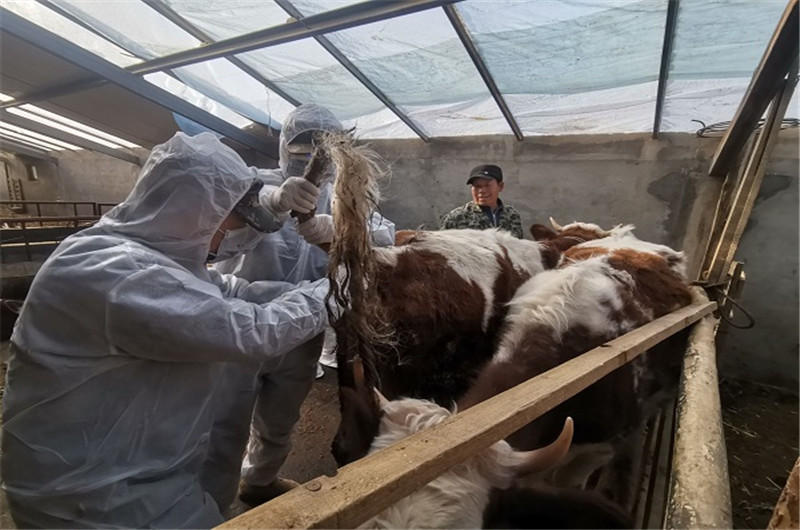 张掖市畜牧兽医局