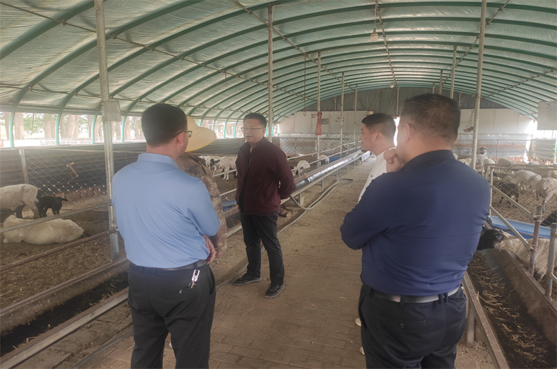 葛村山畜禽生态养殖易游娱乐城- YY易游体育官方网站- 易游体育APP专业合作社