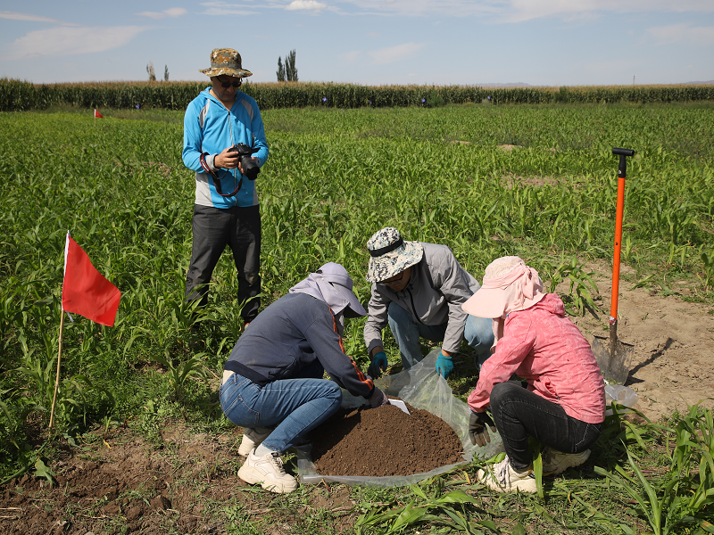 市农科院组织开展全国第三次土壤普查外业调查采样技术实操实练